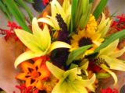 nazanin&nbsp;zargari